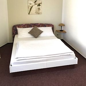 Economy Zimmer